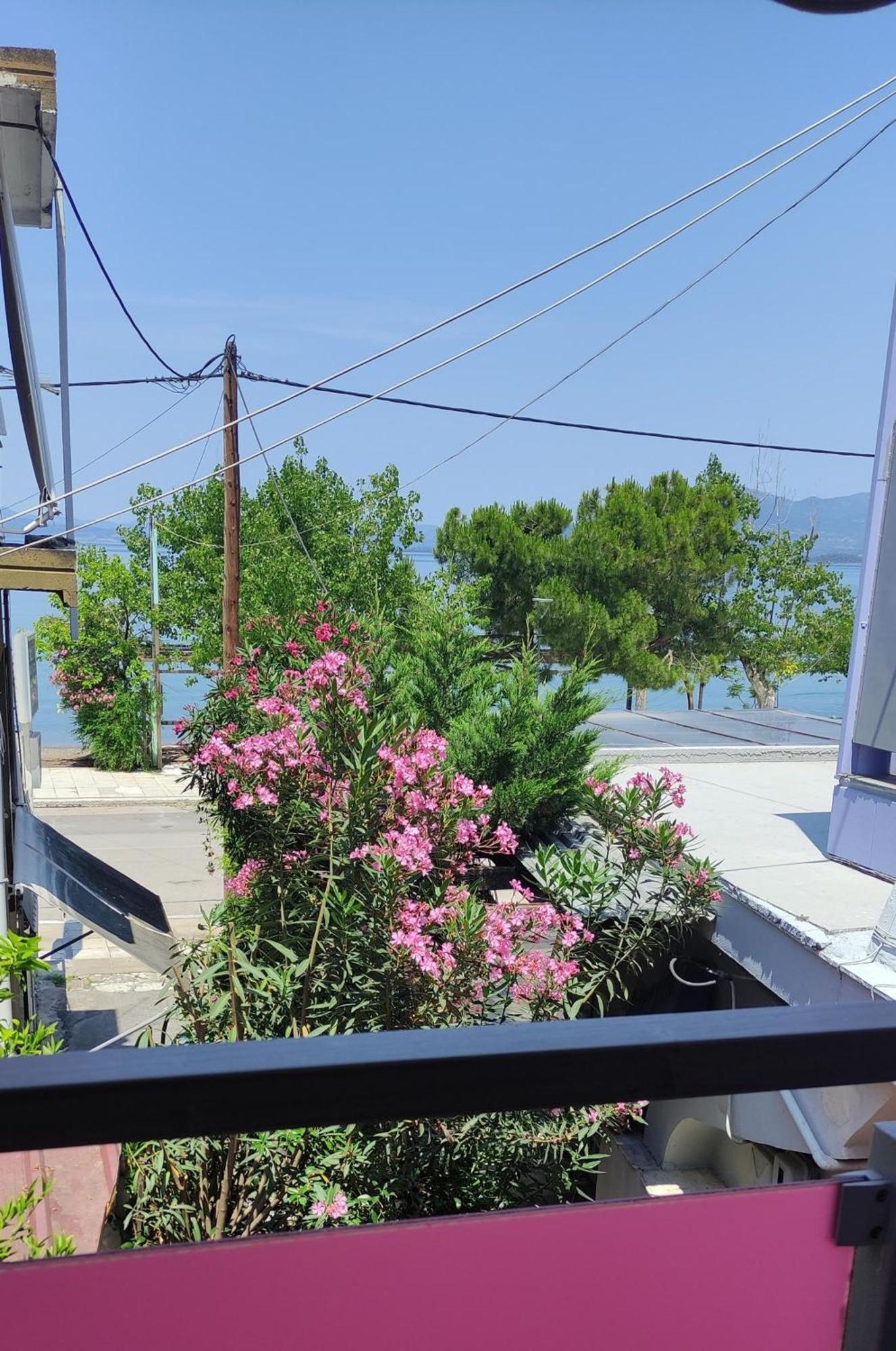 Okeania Seafront Rooms In كامينا فورلا المظهر الخارجي الصورة
